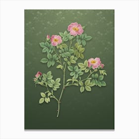Vintage Rose Corymb Botanical on Lunar Green Pattern Canvas Print