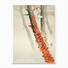 Red Ivy (1900 1930), Ohara Koson Canvas Print