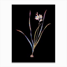 Stained Glass Gladiolus Lineatus Mosaic Botanical Illustration on Black n.0309 Canvas Print