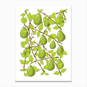 Pears On A Branch 1 Canvas Print