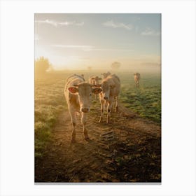Cows Sunrise Canvas Print