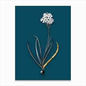 Vintage Arabian Starflower Black and White Gold Leaf Floral Art on Teal Blue n.0539 Canvas Print