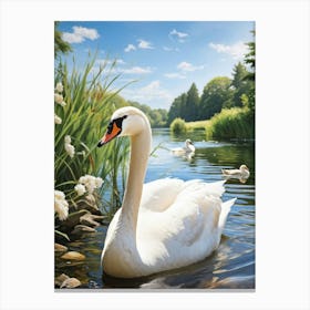 Swans In The Water 4 Canvas Print