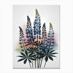 Lupine Canvas Print Canvas Print