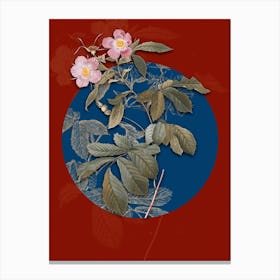 Vintage Botanical Pink Alpine Roses on Circle Blue on Red n.0202 Canvas Print