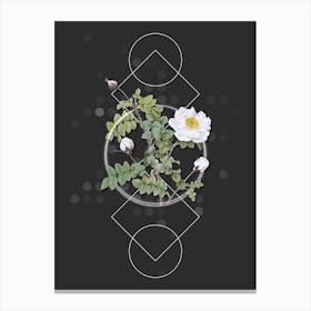 Vintage White Burnet Roses Botanical with Geometric Line Motif and Dot Pattern n.0296 Canvas Print