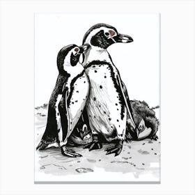 African Penguin Huddling For Warmth 3 Canvas Print