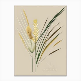 Lemongrass Spices And Herbs Retro Minimal 2 Canvas Print