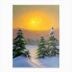 Sunset Over Pine Trees Canvas Print