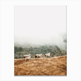 Herd Of Sheep Canvas Print