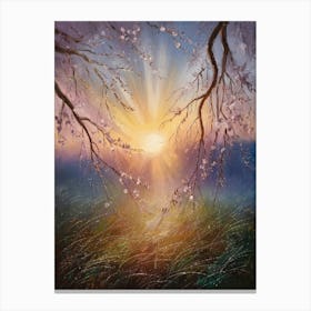 Sunset Over Cherry Blossoms Canvas Print