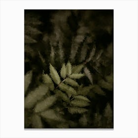Ferns In The Dark Oil Painting Canvas Print