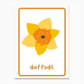 Daffodil Flower Canvas Print