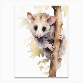 Light Watercolor Painting Of A Hanging Possum 3 Canvas Print