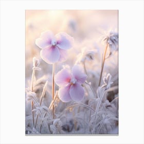 Frosty Botanical Viola 3 Canvas Print