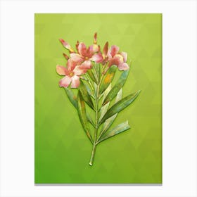Vintage Oleander Botanical Art on Love Bird Green n.1298 Canvas Print