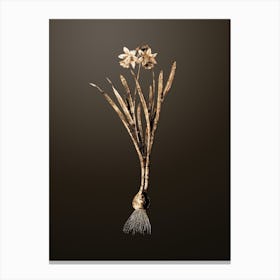 Gold Botanical Lesser Wild Daffodil on Chocolate Brown Canvas Print