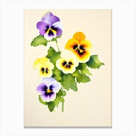 Pansy 1 Vintage Flowers Flower Canvas Print