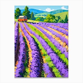 Lavender Field 1 Canvas Print