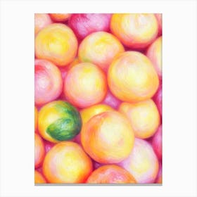 Blood Orange Painting Fruit Canvas Print