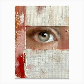 Eye Of A Woman 5 Canvas Print