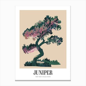 Juniper Tree Colourful Illustration 4 Poster Canvas Print