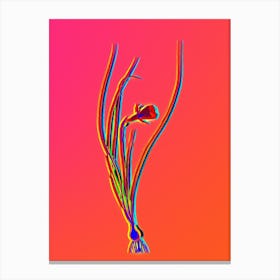 Neon Daffodil Botanical in Hot Pink and Electric Blue n.0315 Canvas Print