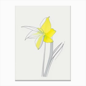 Daffodil Floral Minimal Line Drawing 1 Flower Canvas Print