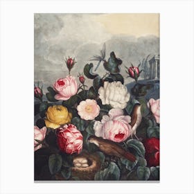 Vintage Thornton 5 Roses Canvas Print