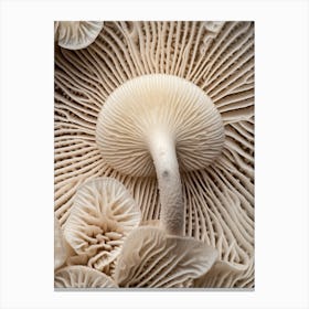 Mushroom Photography 6 Canvas Print