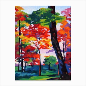 Paperbark Maple Tree Cubist Canvas Print