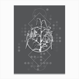 Vintage Tiger Lily Botanical with Line Motif and Dot Pattern in Ghost Gray n.0365 Canvas Print