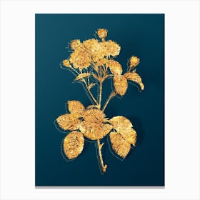 Vintage Vintage Pink Rosebush Botanical in Gold on Teal Blue n.0059 Canvas Print