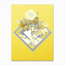 Botanical Leschenault's Rose in Gray and Yellow Gradient n.032 Canvas Print
