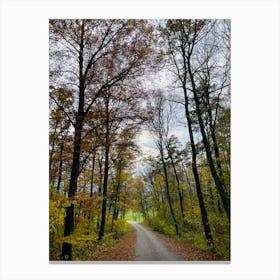 Autumn Road In The Woods 1 Canvas Print