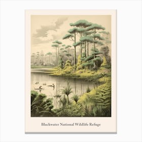 Blackwater National Wildlife Refuge Canvas Print