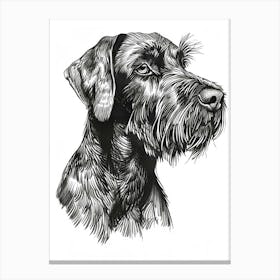 German Wirehaired Dog Line Sketch 3 Canvas Print