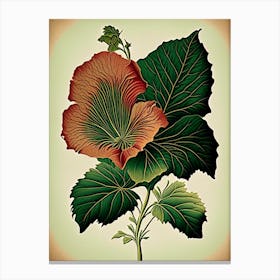 Hibiscus Leaf Vintage Botanical 2 Canvas Print