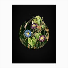Vintage Morning Glory Botanical in Gilded Marble on Shadowy Black Canvas Print