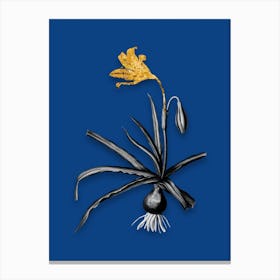 Vintage Amaryllis Broussonetii Black and White Gold Leaf Floral Art on Midnight Blue n.0633 Canvas Print