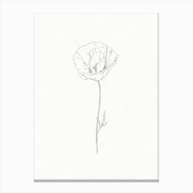Poppy Flower Drawing Canvas Print
