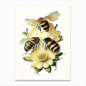 Bees 2 Vintage Canvas Print
