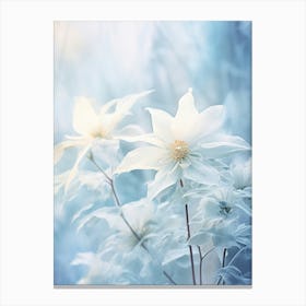 Frosty Botanical Poinsettia 6 Canvas Print