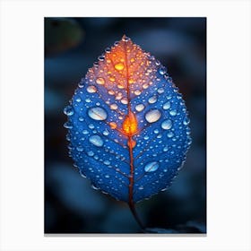 Blue Leaf With Water Droplets Canvas Print