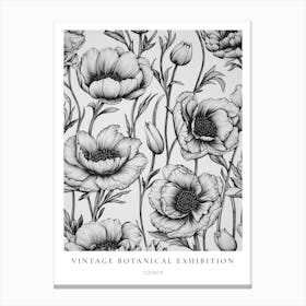 Cosmos B&W Vintage Botanical Poster Canvas Print