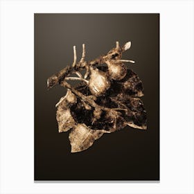 Gold Botanical Fig on Chocolate Brown n.4567 Canvas Print