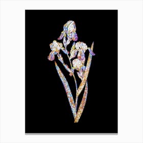 Stained Glass Elder Scented Iris Mosaic Botanical Illustration on Black n.0186 Canvas Print