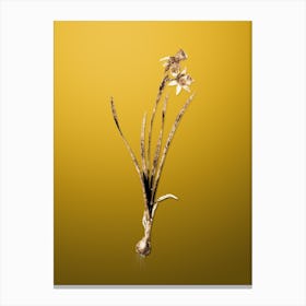 Gold Botanical Narcissus Calathinus on Mango Yellow n.2856 Canvas Print
