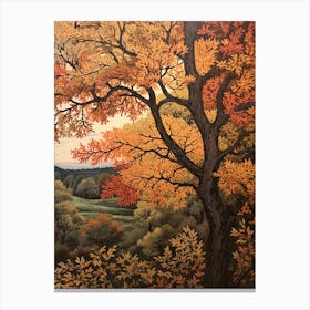 Black Ash 3 Vintage Autumn Tree Print  Canvas Print