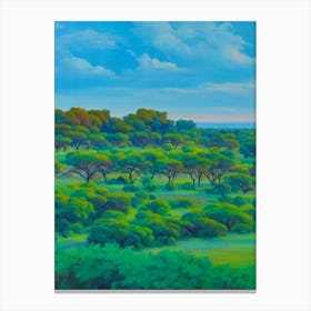 Yala National Park Sri Lanka Blue Oil Painting 1  Canvas Print